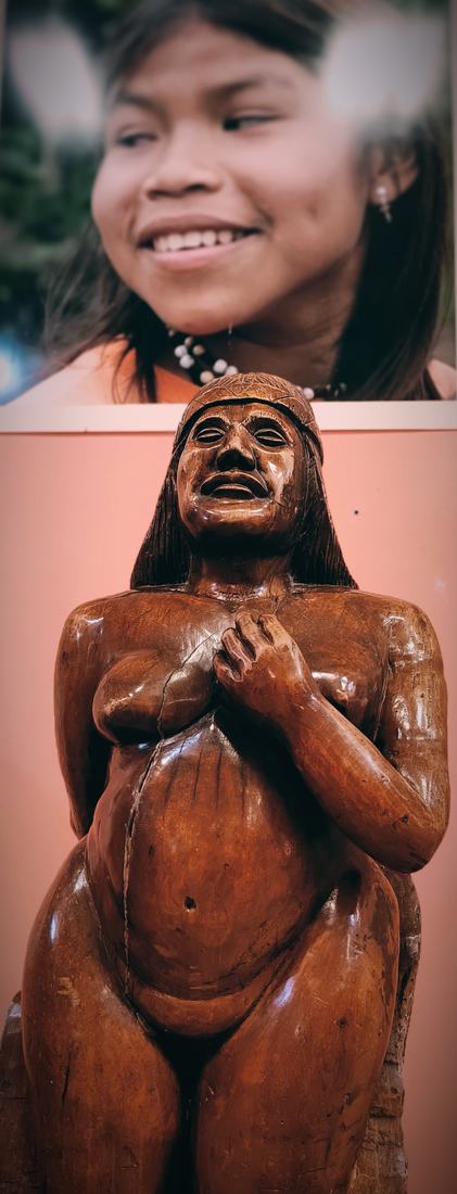 Retrato Guaraní en el Museo imagenes de la selva