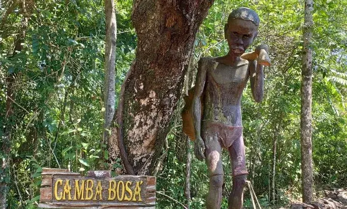 camba bolsa